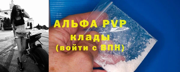 спайс Беломорск