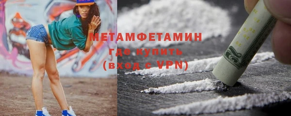 прущие грибы Белокуриха