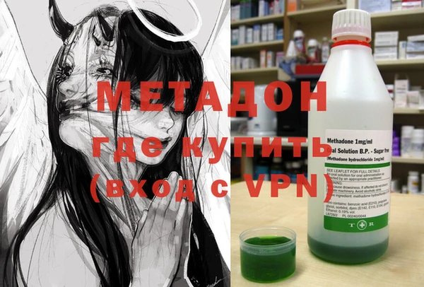 прущие грибы Белокуриха