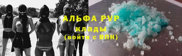 прущие грибы Белокуриха