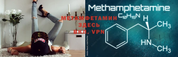 прущие грибы Белокуриха