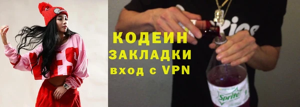 прущие грибы Белокуриха