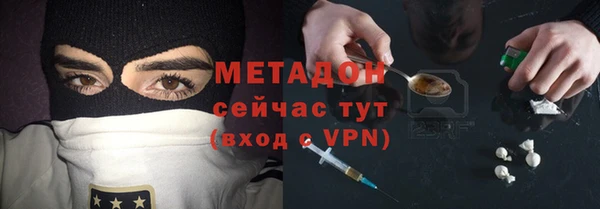 прущие грибы Белокуриха