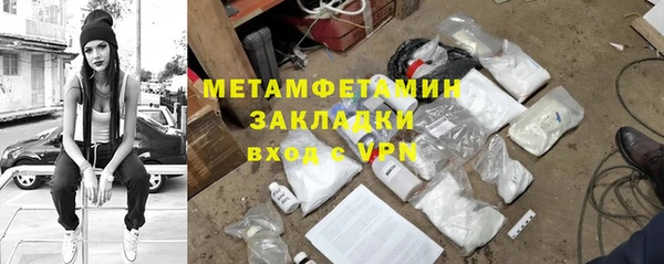 прущие грибы Белокуриха