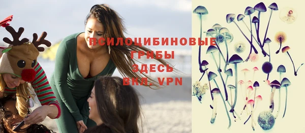 спайс Беломорск