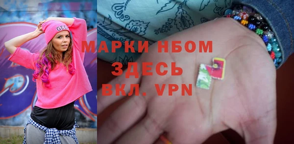 прущие грибы Белокуриха