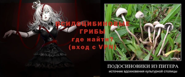 спайс Беломорск