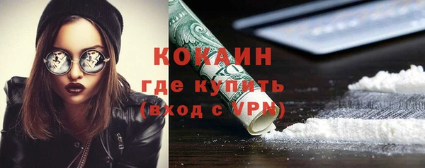 прущие грибы Белокуриха