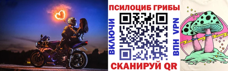 Галлюциногенные грибы Psilocybe  Бузулук 